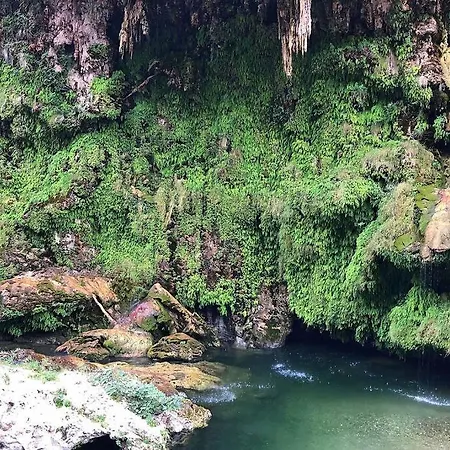 Ferula Romantica Mansarda Tra Fiumi E Montagne Sardegna Seùlo