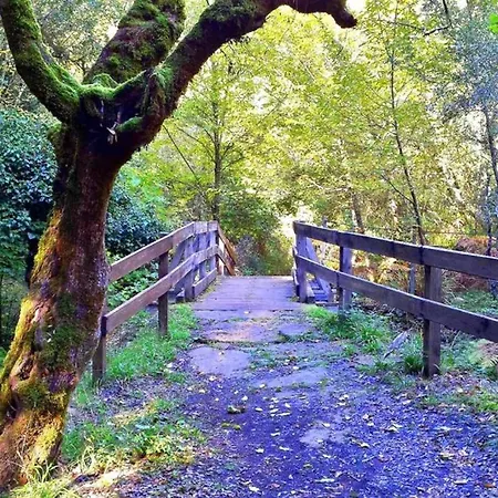 Ferula Romantica Mansarda Tra Fiumi E Montagne Sardegna * Seùlo