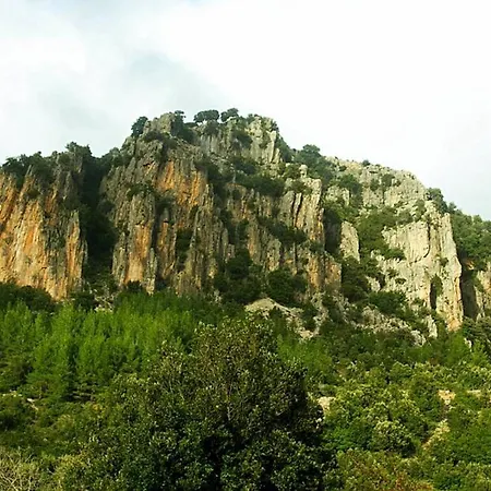 Ferula Romantica Mansarda Tra Fiumi E Montagne Sardegna *