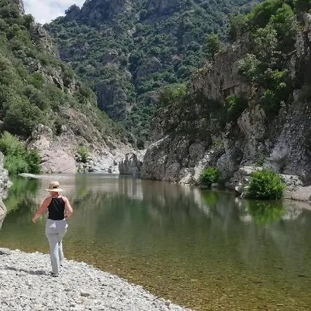 Ferula Romantica Mansarda Tra Fiumi E Montagne Sardegna *