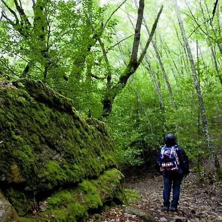 Ferula Romantica Mansarda Tra Fiumi E Montagne Sardegna Casa de Férias *