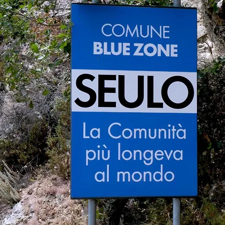 Ferula Romantica Mansarda Tra Fiumi E Montagne Sardegna