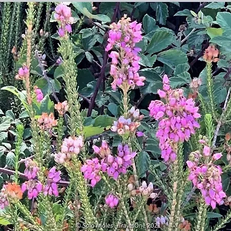 Ferula Romantica Mansarda Tra Fiumi E Montagne Sardegna בית נופש *