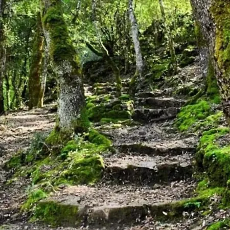 Ferula Romantica Mansarda Tra Fiumi E Montagne Sardegna בית נופש *