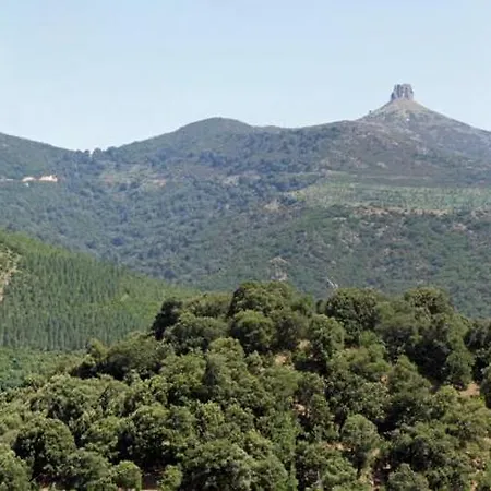 Casa vacanze Ferula Romantica Mansarda Tra Fiumi E Montagne Sardegna
