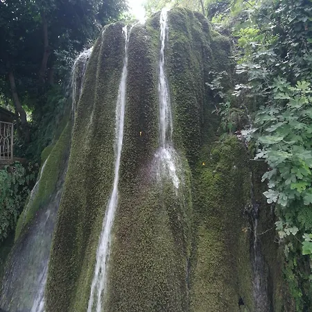 Ferula Romantica Mansarda Tra Fiumi E Montagne Sardegna Seùlo
