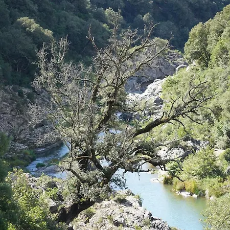 Ferula Romantica Mansarda Tra Fiumi E Montagne Sardegna