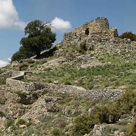 Ferula Romantica Mansarda Tra Fiumi E Montagne Sardegna