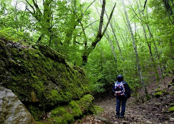 Ferula Romantica Mansarda Tra Fiumi E Montagne Sardegna Vakantiehuis *