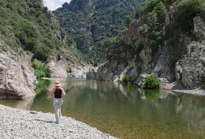 Ferula Romantica Mansarda Tra Fiumi E Montagne Sardegna *