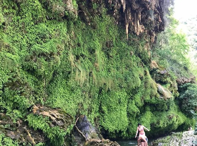 Ferula Romantica Mansarda Tra Fiumi E Montagne Sardegna